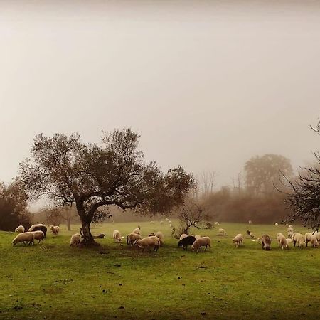 Olivae Villa Aracena Bagian luar foto
