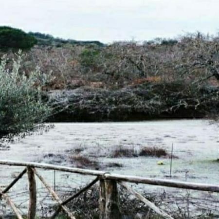 Olivae Villa Aracena Bagian luar foto