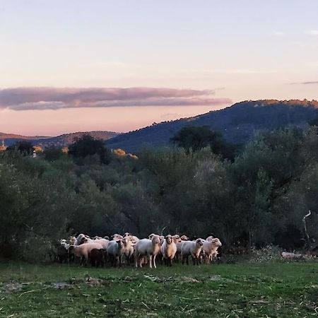 Olivae Villa Aracena Bagian luar foto