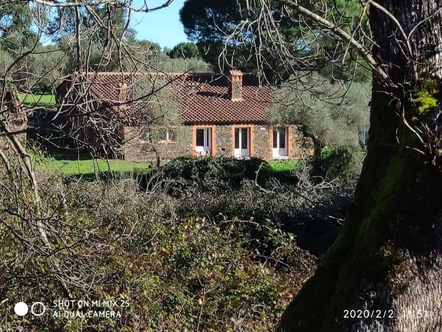 Olivae Villa Aracena Bagian luar foto