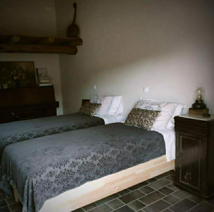 Olivae Villa Aracena Bagian luar foto