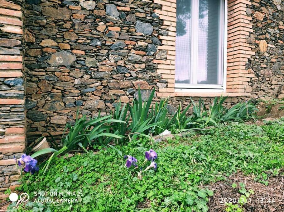 Olivae Villa Aracena Bagian luar foto