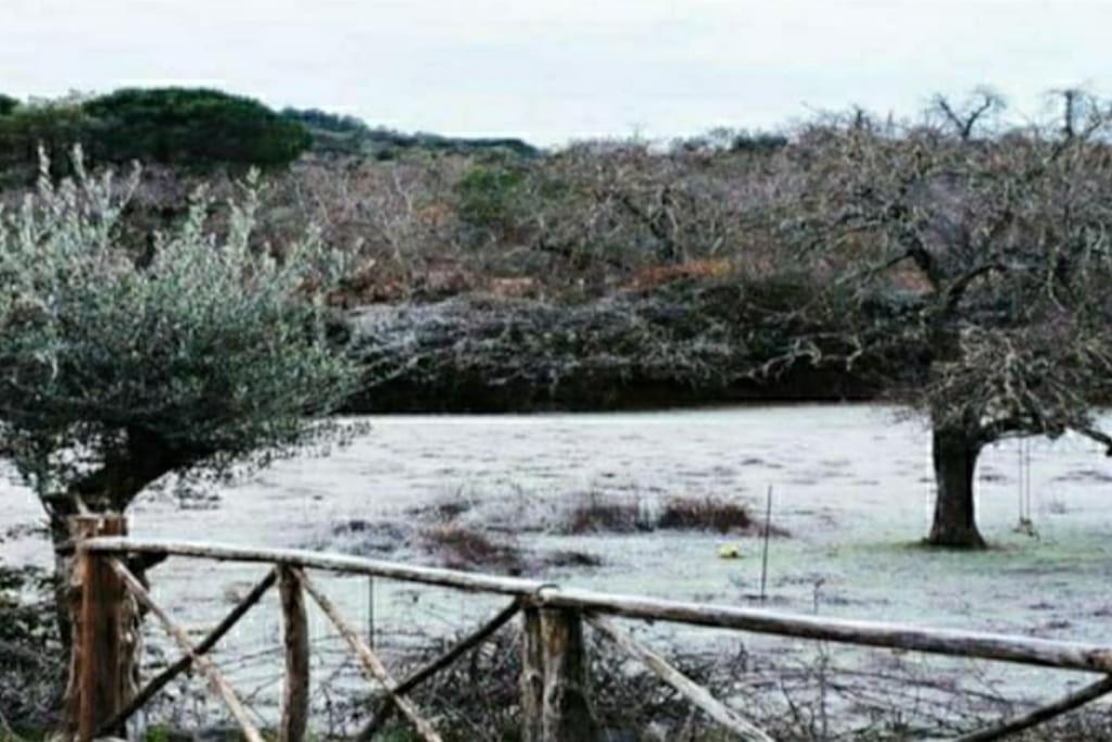 Olivae Villa Aracena Bagian luar foto