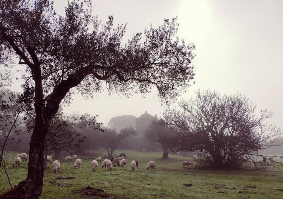 Olivae Villa Aracena Bagian luar foto