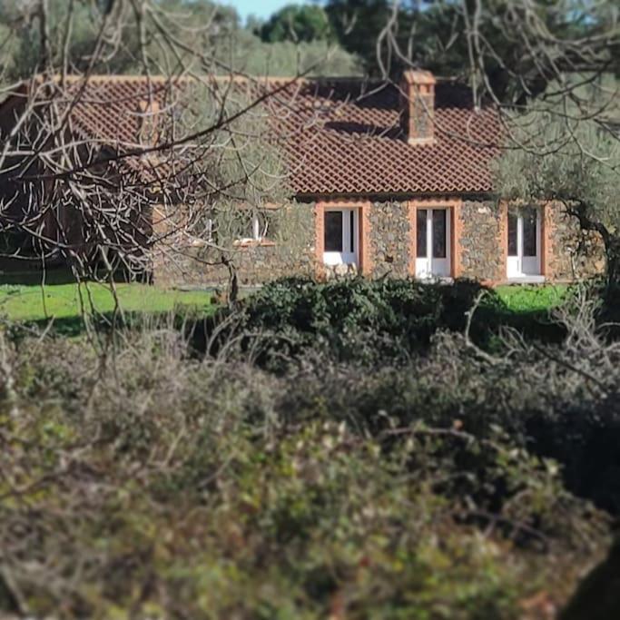 Olivae Villa Aracena Bagian luar foto